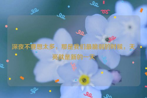 深夜不要想太多，那是我们最脆弱的时候，天亮就是新的一天