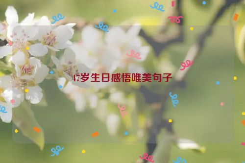 47岁生日感悟唯美句子