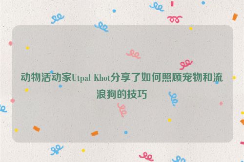 动物活动家Utpal Khot分享了如何照顾宠物和流浪狗的技巧
