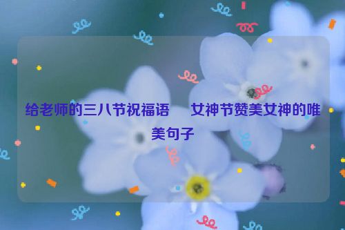 给老师的三八节祝福语     女神节赞美女神的唯美句子