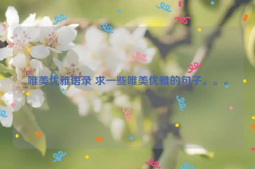 唯美优雅语录 求一些唯美优雅的句子。。。