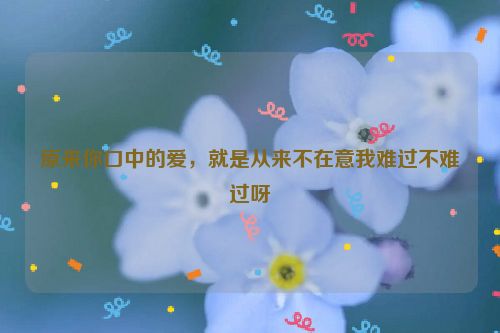 原来你口中的爱，就是从来不在意我难过不难过呀