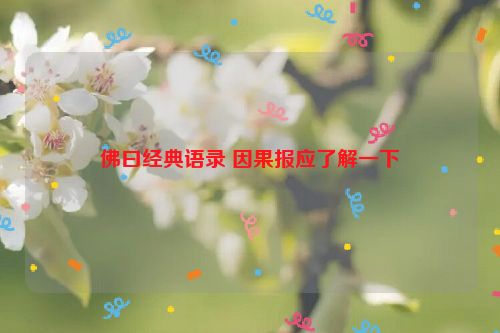 佛曰经典语录 因果报应了解一下