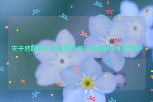 关于感叹四十岁的句子 四十岁感慨人生的句子
