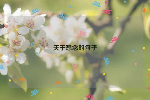 关于想念的句子