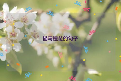 描写樱花的句子