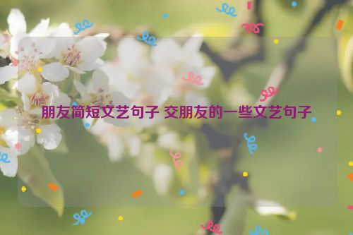 朋友简短文艺句子 交朋友的一些文艺句子