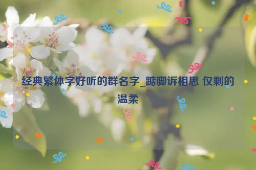 经典繁体字好听的群名字_踮脚诉相思 仅剩的温柔