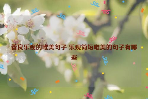 善良乐观的唯美句子 乐观简短唯美的句子有哪些