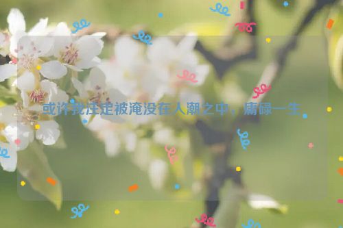 或许我注定被淹没在人潮之中，庸碌一生