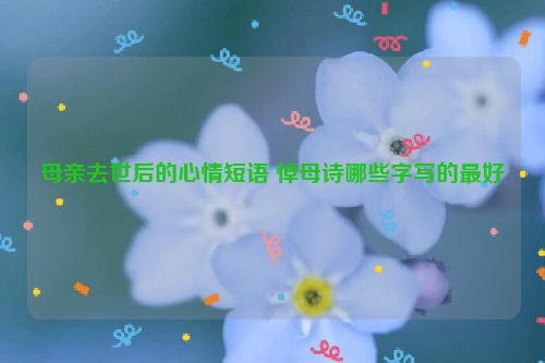 母亲去世后的心情短语 悼母诗哪些字写的最好