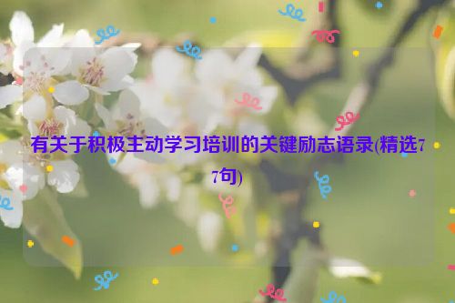 有关于积极主动学习培训的关键励志语录(精选77句)