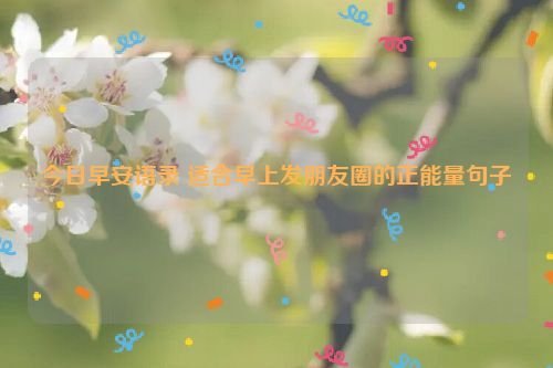 今日早安语录 适合早上发朋友圈的正能量句子