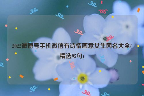 2022微博号手机微信有诗情画意女生网名大全(精选95句)