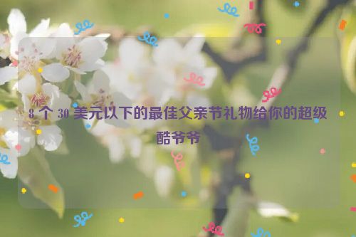8 个 30 美元以下的最佳父亲节礼物给你的超级酷爷爷