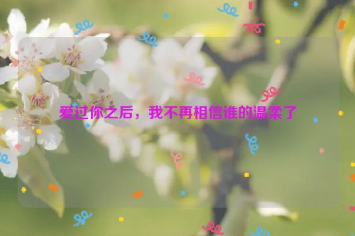 爱过你之后，我不再相信谁的温柔了