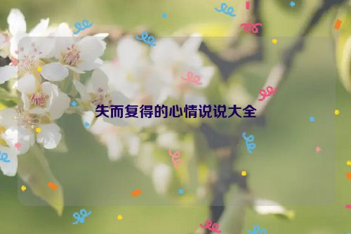失而复得的心情说说大全