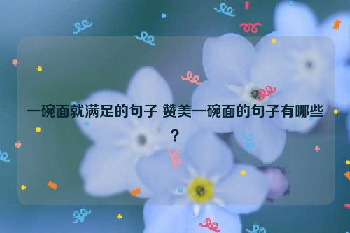一碗面就满足的句子 赞美一碗面的句子有哪些？