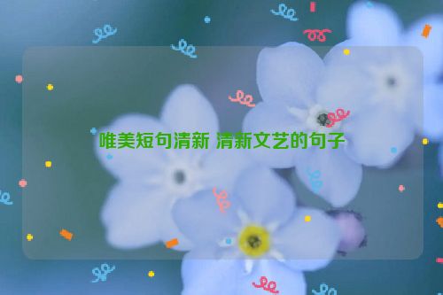 唯美短句清新 清新文艺的句子