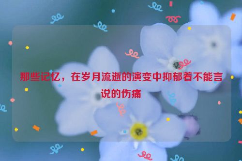 那些记忆，在岁月流逝的演变中抑郁着不能言说的伤痛