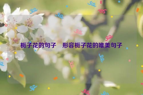 栀子花的句子 形容栀子花的唯美句子