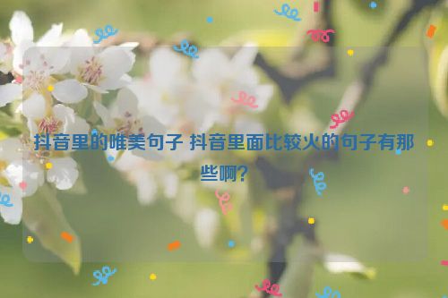 抖音里的唯美句子 抖音里面比较火的句子有那些啊？