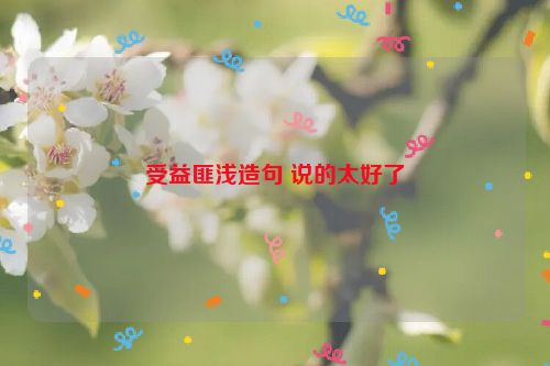 受益匪浅造句 说的太好了