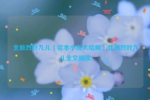  北辰烈叶九儿（完本小说大结局）北辰烈叶九儿全文阅读