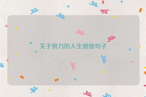 关于努力的人生感悟句子