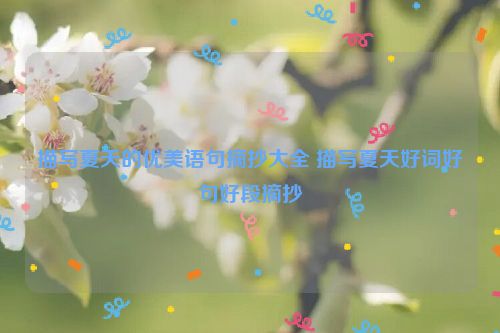 描写夏天的优美语句摘抄大全 描写夏天好词好句好段摘抄