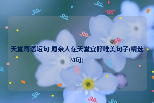 天堂寄语短句 愿亲人在天堂安好唯美句子(精选63句)