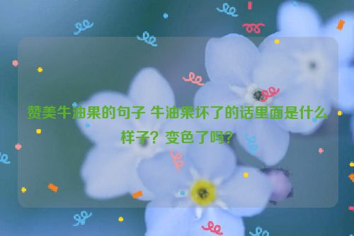 赞美牛油果的句子 牛油果坏了的话里面是什么样子？变色了吗？