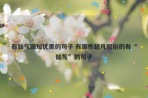 有仙气简短优美的句子 有哪些超凡脱俗的有“仙气”的句子