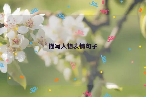 描写人物表情句子