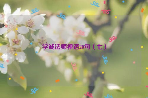 学诚法师禅语20句（七）