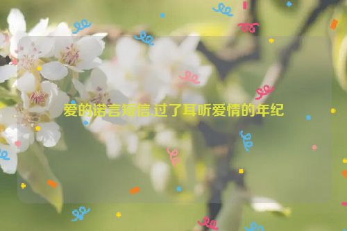 爱的诺言短信,过了耳听爱情的年纪