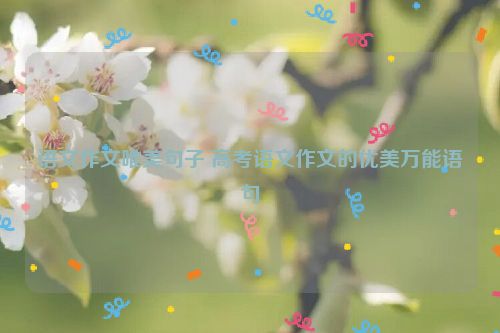 语文作文唯美句子 高考语文作文的优美万能语句