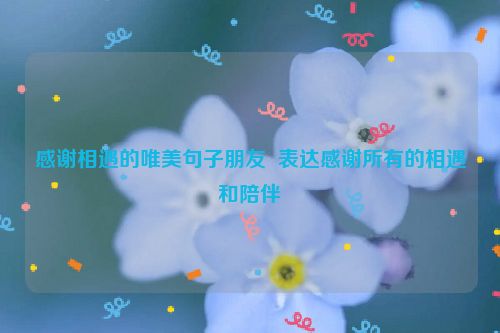 感谢相遇的唯美句子朋友  表达感谢所有的相遇和陪伴