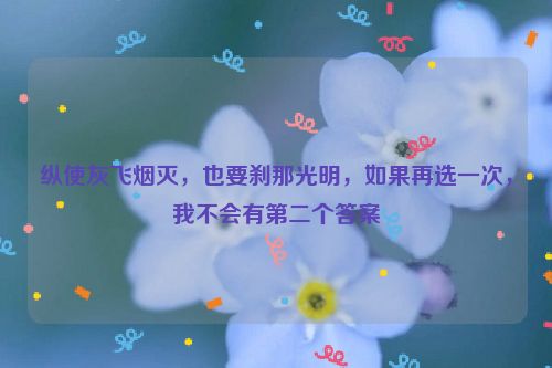 纵使灰飞烟灭，也要刹那光明，如果再选一次，我不会有第二个答案