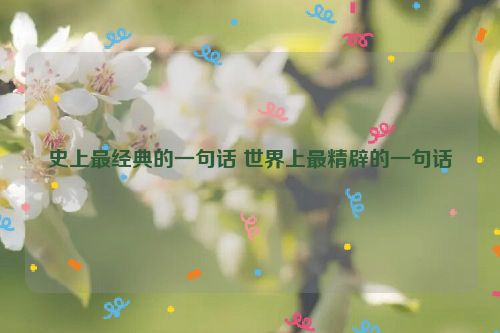 史上最经典的一句话 世界上最精辟的一句话