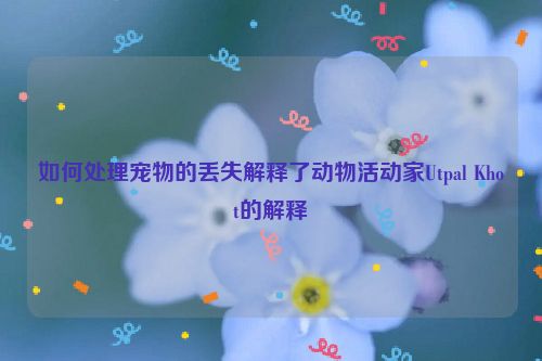 如何处理宠物的丢失解释了动物活动家Utpal Khot的解释