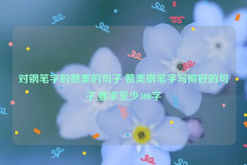 对钢笔字的赞美的句子 赞美钢笔字写得好的句子,要求至少300字