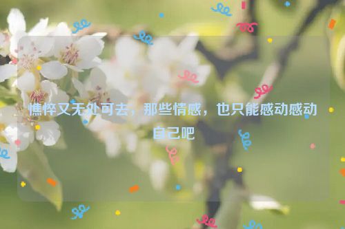 憔悴又无处可去，那些情感，也只能感动感动自己吧