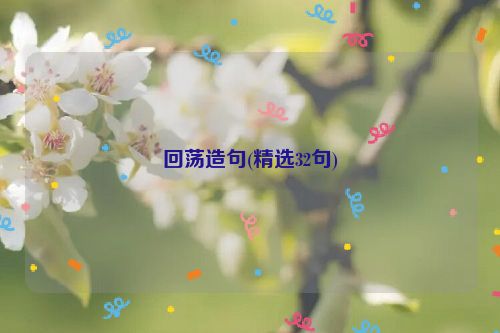 回荡造句(精选32句)