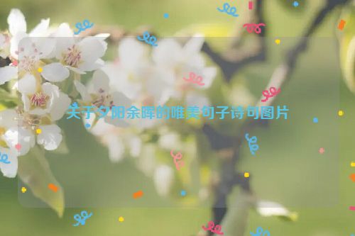 关于夕阳余晖的唯美句子诗句图片