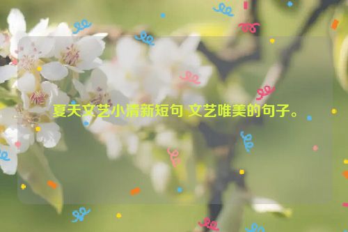 夏天文艺小清新短句 文艺唯美的句子。