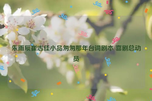 朱雨辰崔志佳小品匆匆那年台词剧本 喜剧总动员