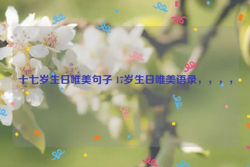 十七岁生日唯美句子 17岁生日唯美语录，，，，