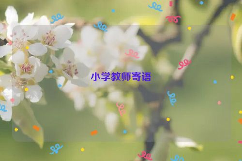 小学教师寄语