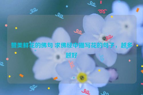 赞美鲜花的佛句 求佛经中描写花的句子，越多越好